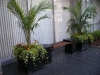 Palm Containers